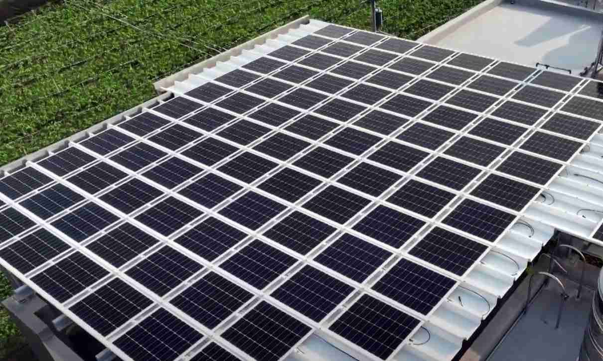 优游UB8SunSteel光电浪板升级双玻结构，，以提升机械负载强度及气候耐候度，，可广泛运用于多元场域