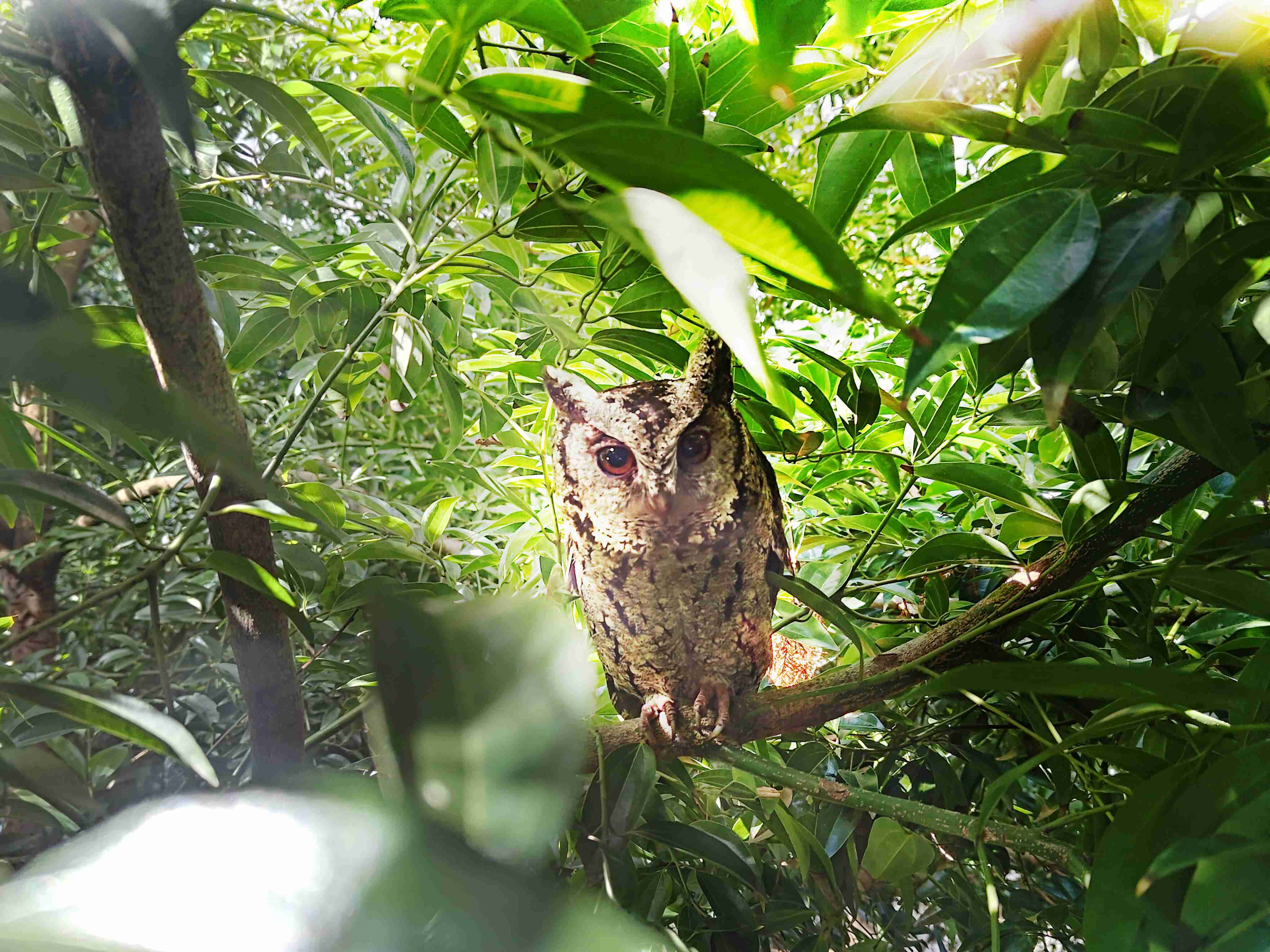 优游UB8致力提倡净零绿生活，，，16年以来在全球各厂区植树逾百万棵，，造就各厂区树木蔚然成林，，，犹如森林工厂，，成为许多生物的栖息地